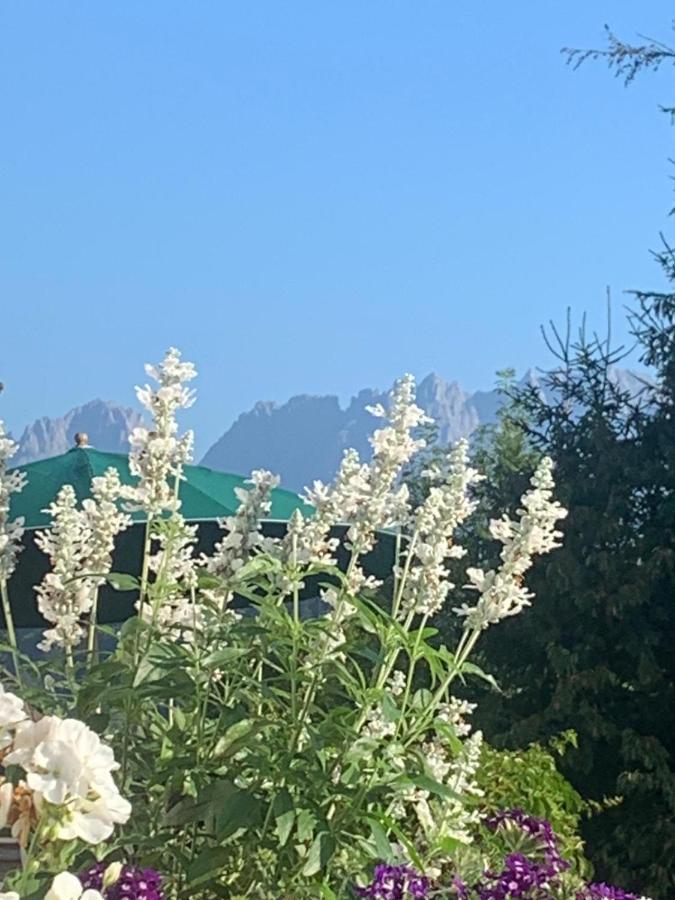 Pension Hinterseer Kitzbühel Eksteriør bilde